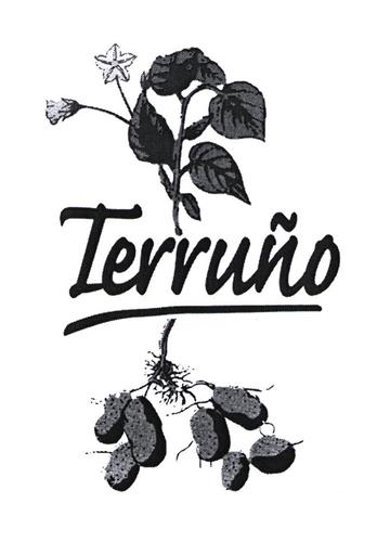 Terruño trademark