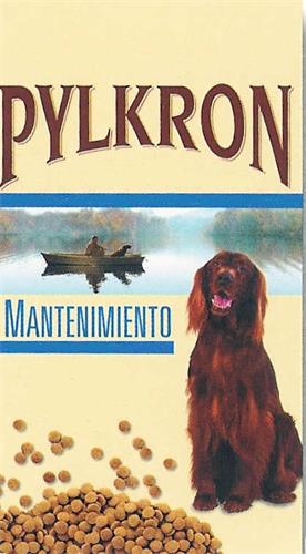 PYLKRON MANTENIMIENTO trademark