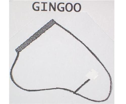 GINGOO trademark