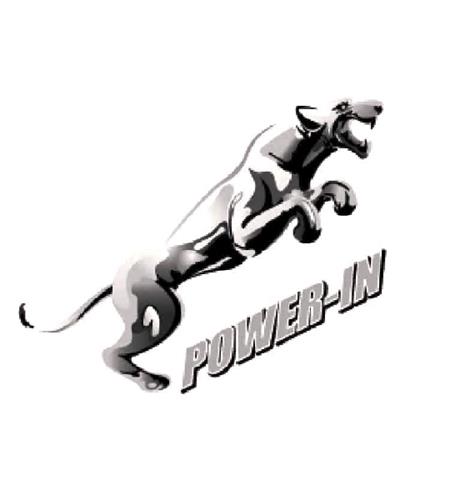 POWER IN trademark