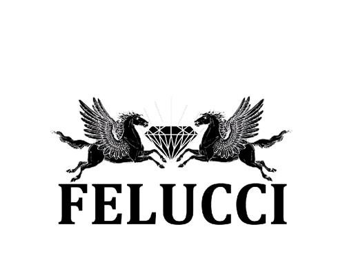 FELUCCI trademark