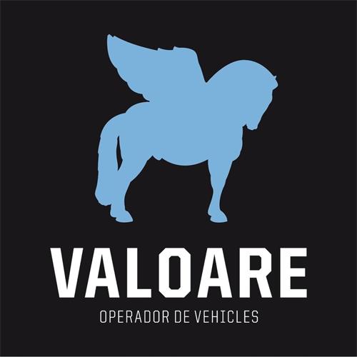 VALOARE OPERADOR DE VEHICLES trademark