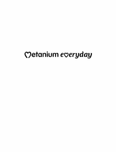 METANIUM EVERYDAY trademark