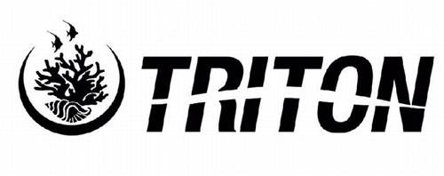 TRITON trademark