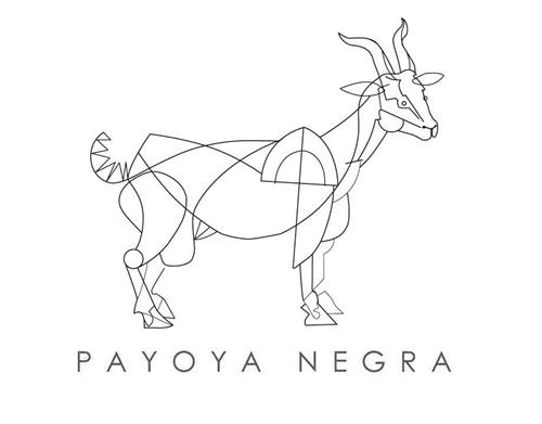 PAYOYA NEGRA trademark