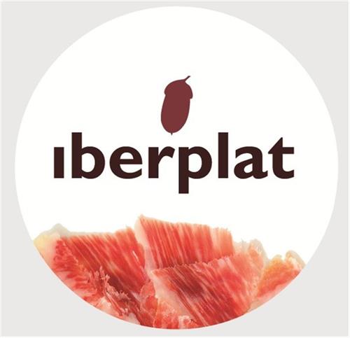 IBERPLAT trademark