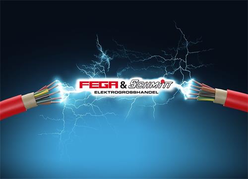 FEGA&SCHMITT trademark