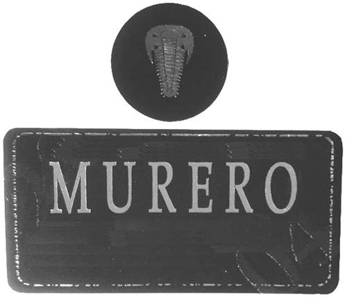 MURERO trademark