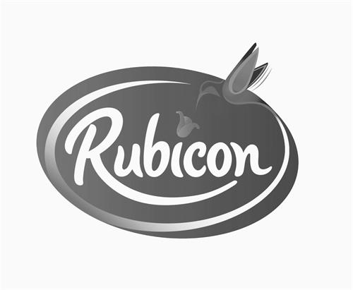 RUBICON trademark