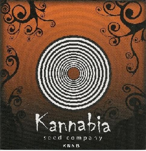 Kannabia seed company KNNB trademark