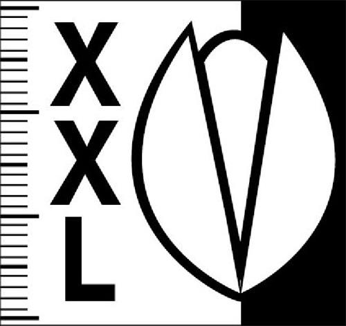 XXL trademark