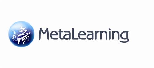 METALEARNING trademark