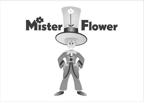 Mister Flower trademark