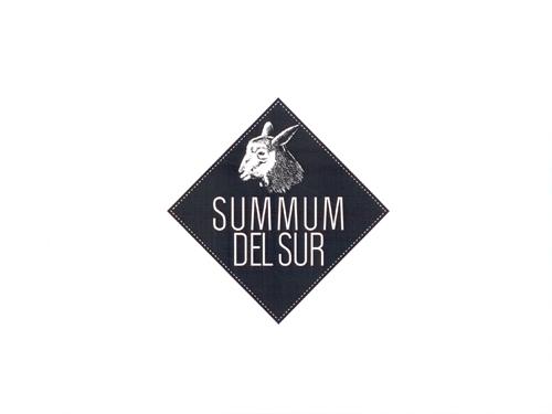 SUMMUM DEL SUR trademark