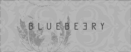 BLUEBEERY trademark