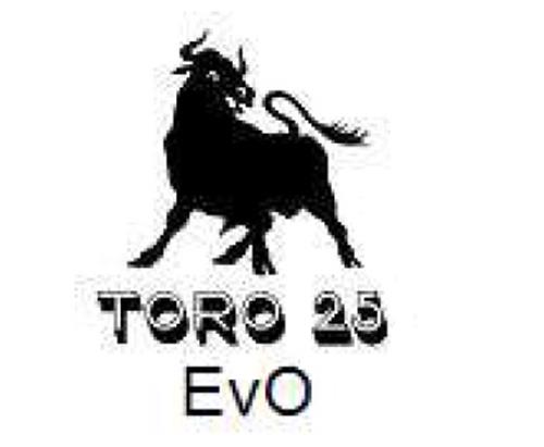 Toro 25 Evo trademark