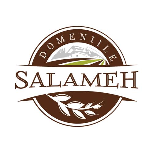 DOMENIILE SALAMEH trademark