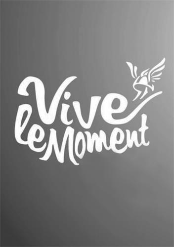 Vive le Moment trademark