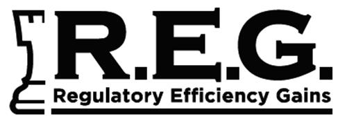 R.E.G. REGULATORY EFFICIENCY GAINS trademark