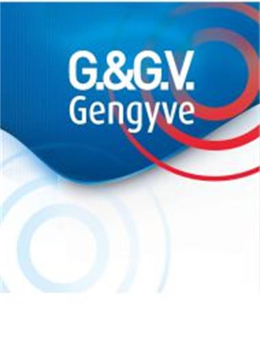 G.&.G.V. Gengyve trademark