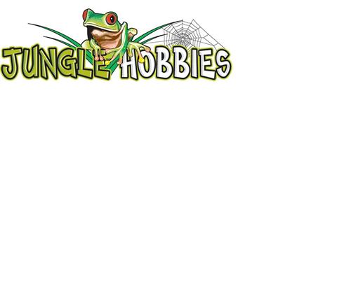 JUNGLE HOBBIES trademark