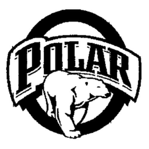 POLAR trademark