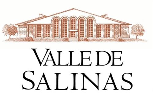 VALLE DE SALINAS trademark