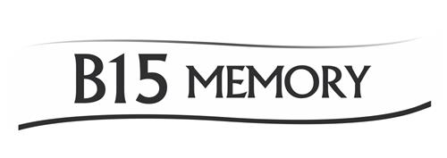 B15 MEMORY trademark