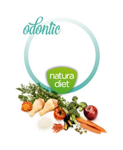 ODONTIC NATURA DIET trademark