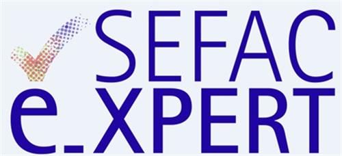 SEFAC E_XPERT trademark