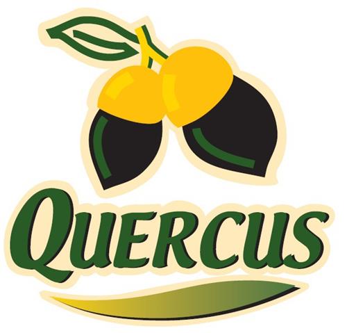 QUERCUS trademark