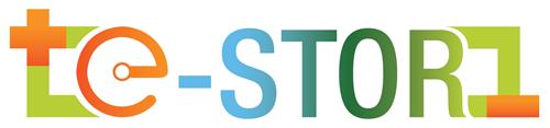 e-stor trademark