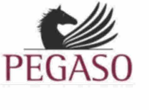 PEGASO trademark