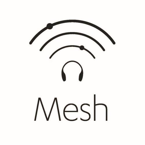 MESH trademark