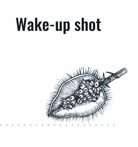 Wake-up shot trademark