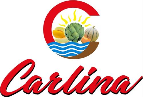 C CARLINA trademark