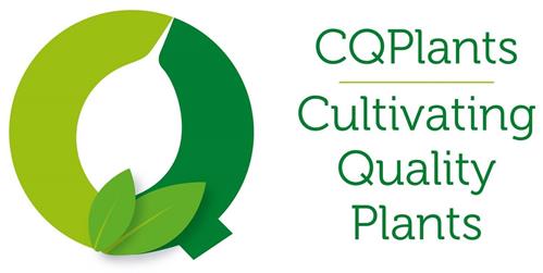 CQPLANTS CULTIVATING QUALITY PLANTS trademark