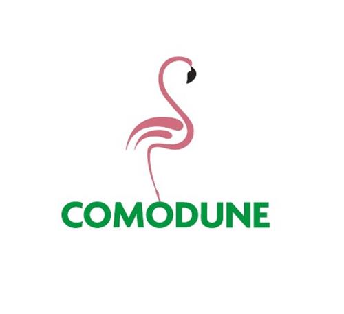 COMODUNE trademark