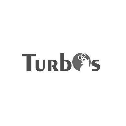 TURBS trademark