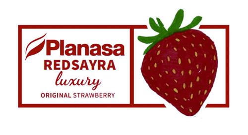 Planasa REDSAYRA luxury ORIGINAL STRAWBERRY trademark