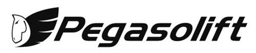 PEGASOLIFT trademark