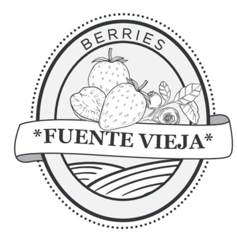 BERRIES FUENTE VIEJA trademark