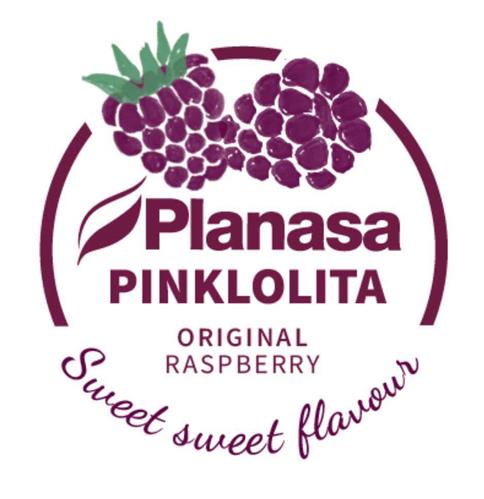 PLANASA PINKLOLITA ORIGINAL RASPBERRY SWEET SWEET FLAVOUR trademark