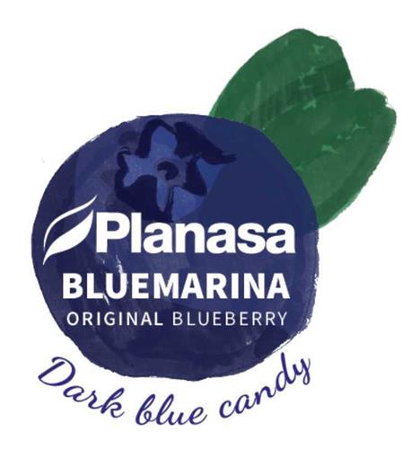 PLANASA BLUEMARINA ORIGINAL BLUEBERRY DARK BLUE CANDY trademark