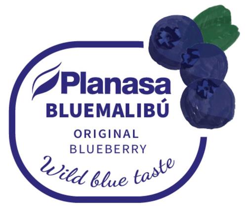 PLANASA BLUEMALIBÚ ORIGINAL BLUEBERRY WILD BLUE TASTE trademark