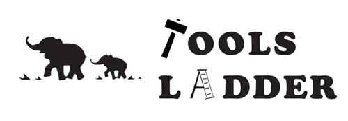 TOOLSLADDER trademark