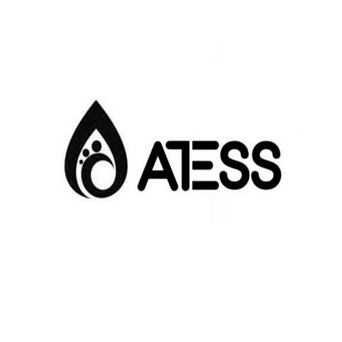 ATESS trademark