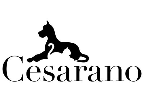 Cesarano trademark