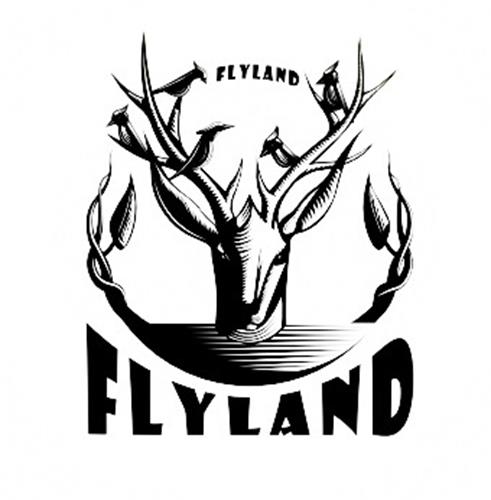 FLYLAND trademark