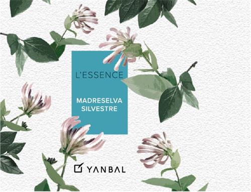 L'ESSENCE MADRESELVA SILVESTRE YANBAL trademark